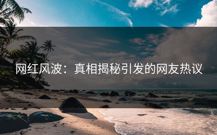 网红风波：真相揭秘引发的网友热议