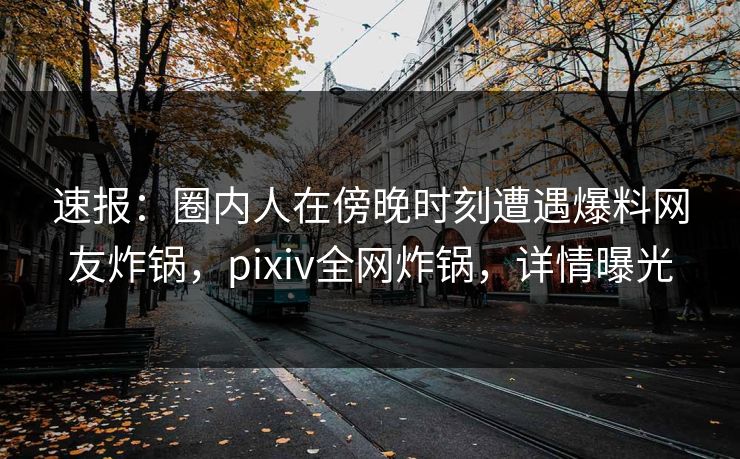 速报：圈内人在傍晚时刻遭遇爆料网友炸锅，pixiv全网炸锅，详情曝光