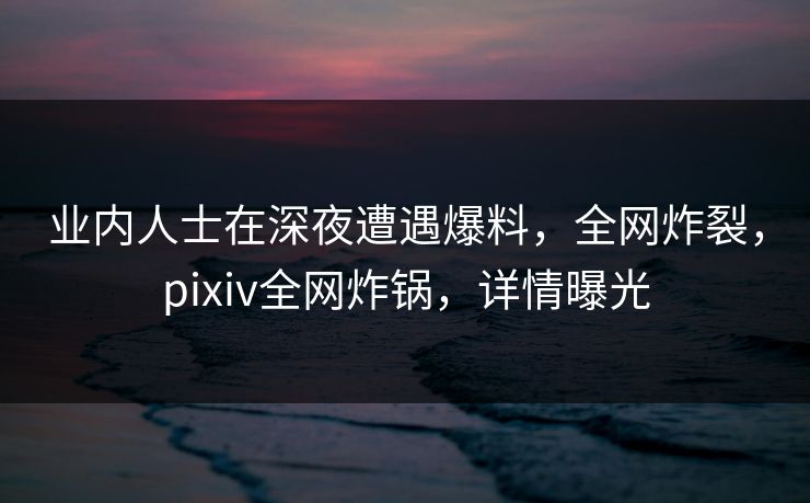 业内人士在深夜遭遇爆料，全网炸裂，pixiv全网炸锅，详情曝光