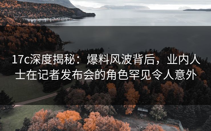 17c深度揭秘：爆料风波背后，业内人士在记者发布会的角色罕见令人意外