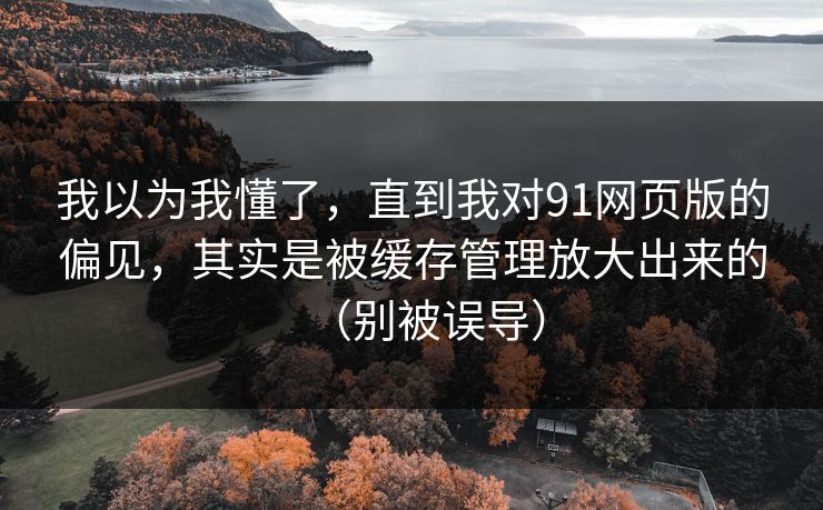 我以为我懂了，直到我对91网页版的偏见，其实是被缓存管理放大出来的（别被误导）