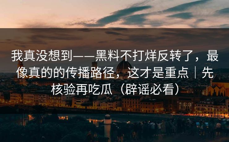 我真没想到——黑料不打烊反转了，最像真的的传播路径，这才是重点｜先核验再吃瓜（辟谣必看）