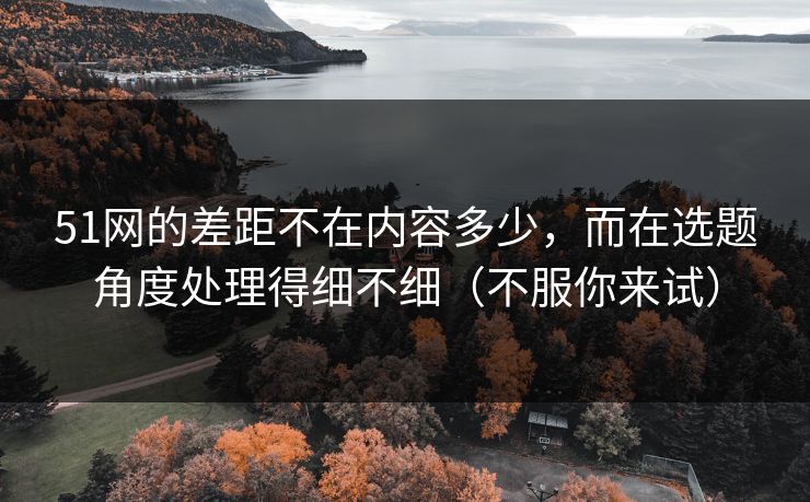 51网的差距不在内容多少，而在选题角度处理得细不细（不服你来试）
