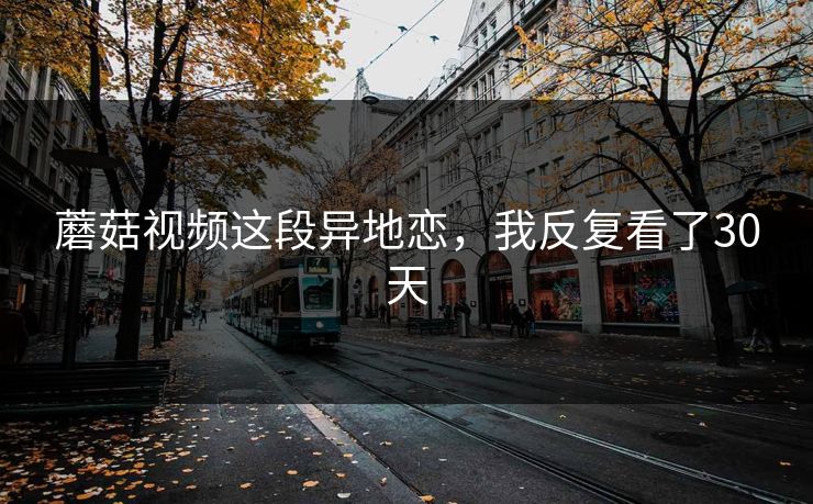 蘑菇视频这段异地恋，我反复看了30天